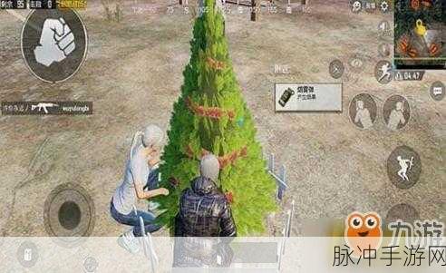 绝地求生刺激战场，六棵圣诞树位置全揭秘