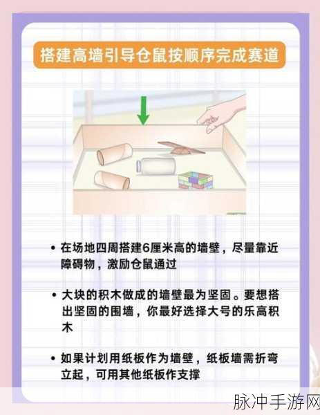 特技仓鼠，冒险闯关新宠，挑战你的指尖极限