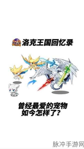 洛克王国超进化之旅,揭秘神秘进化之地新篇章