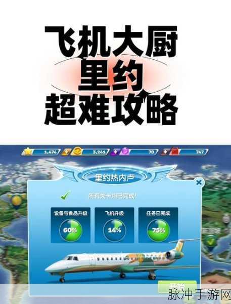 飞机大厨燃油获取秘籍，解锁高效烹饪的飞行之旅