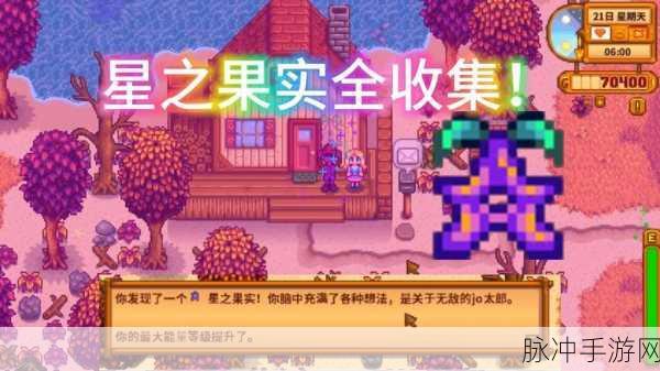 星露谷物语,解锁体力上限,畅享无限冒险