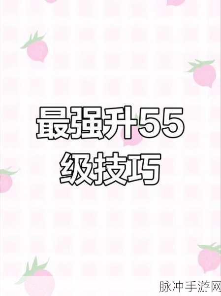倩女幽魂手游新手升级全攻略，解锁高效成长秘籍