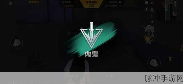 和平精英明牌暗牌深度解析，谁是内鬼的终极较量