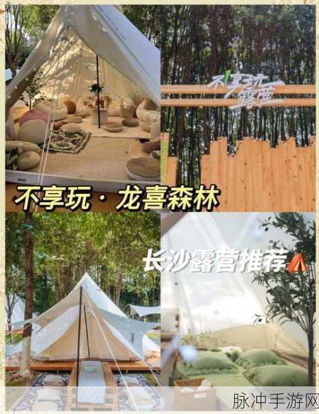 露营大师,开启你的户外经营冒险之旅