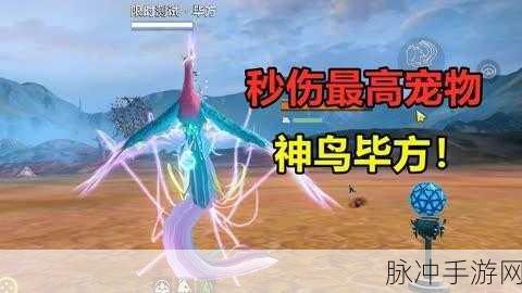 妄想山海元戎弩伤害之谜，深度揭秘与实战提升策略