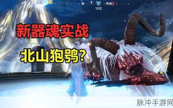 妄想山海元戎弩伤害之谜,深度揭秘与实战提升策略