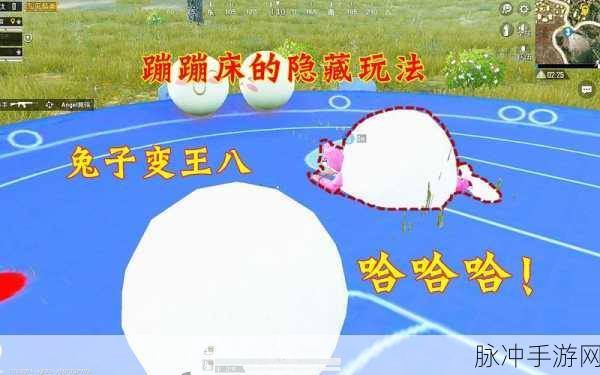 和平精英兔子蹦床全揭秘,位置与玩法一网打尽
