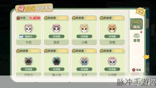 小森生活猫咪选美大赛，投票攻略全解析