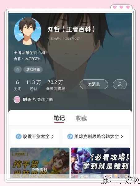 王者荣耀辣辣,从职业选手到游戏主播的华丽转身