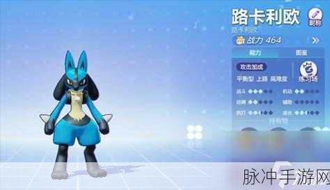 宝可梦大集结，路卡利欧实战秘籍，让你的战斗姿态焕然一新！