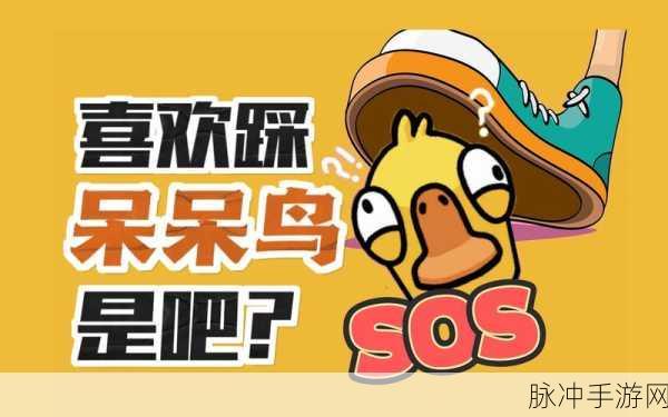 鹅鸭杀新挑战,化身鹅鸭,智斗呆呆鸟