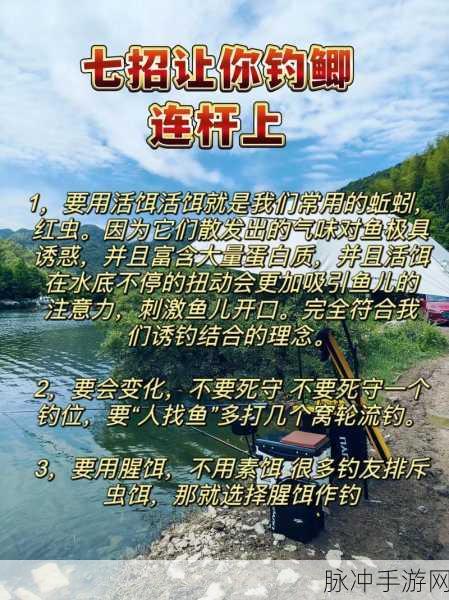 梦想家园鱼饵获取全攻略，解锁钓鱼乐趣的终极秘籍