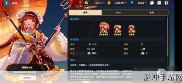 坎公骑冠剑共斗模式全面解析