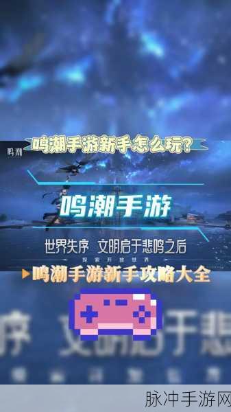 鸣潮胡芦升级秘籍，解锁高效提升等级之道