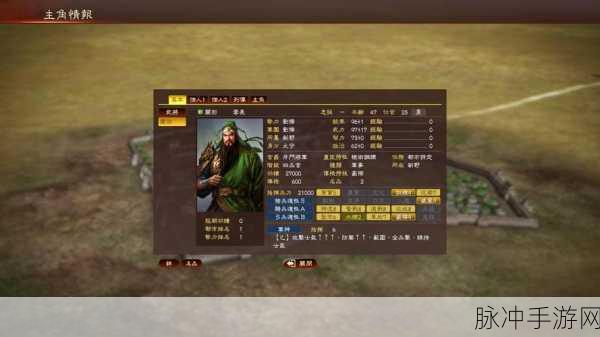 三国志13,解锁个人进阶玩法的深度秘籍
