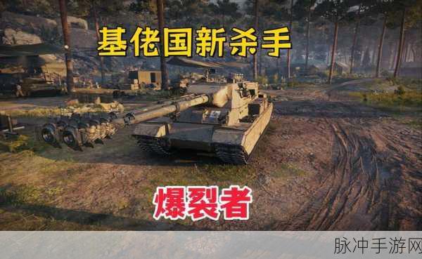 坦克世界闪击战国服,燃爆战场,策略对决新纪元