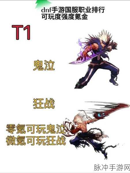 DNF热门职业大揭秘,输出型为何独领风骚?