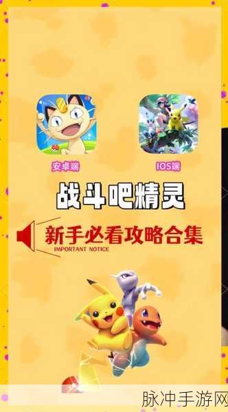 口袋妖怪单机版,揭秘最后的迷宫通关秘籍