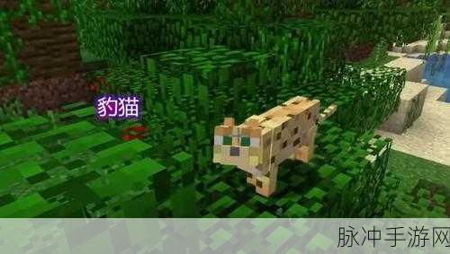 我的世界豹猫，从野性到伙伴的奇妙转变