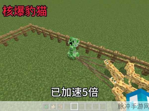 我的世界豹猫,从野性到伙伴的奇妙转变