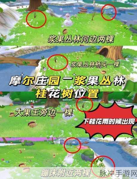 摩尔庄园手游,解锁种植系统的奥秘与高效策略