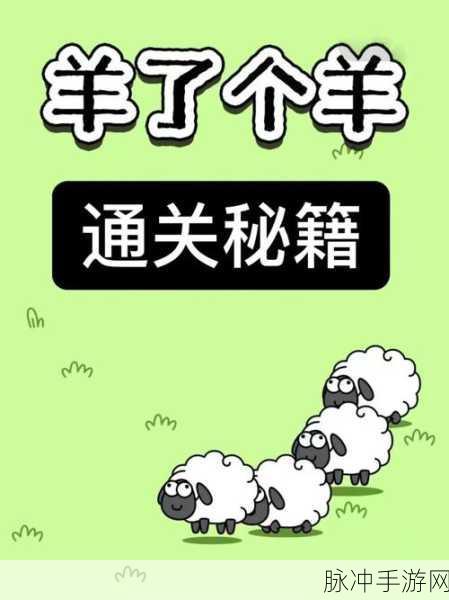 超级收纳馆最强四驱,解锁通关秘籍,技巧全面剖析