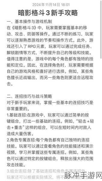暗影格斗3深度揭秘，孀寡之爱套装，寡妇套装效果详尽剖析