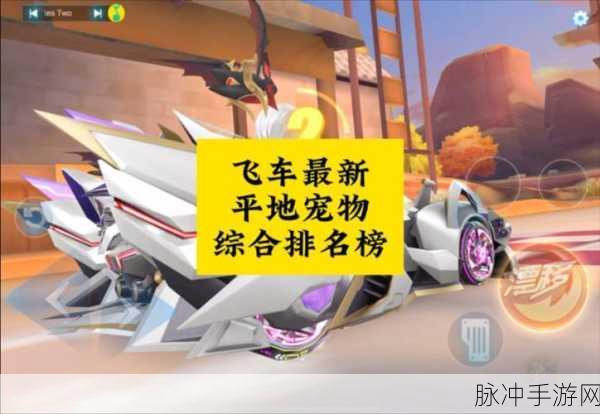 QQ飞车手游探险鸭宠物,技能深度剖析与赛道实战应用