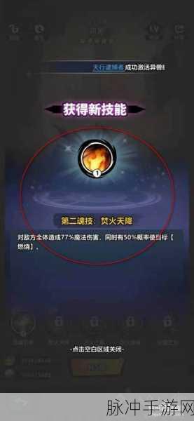 超级舰队手游脚本使用全攻略,解锁高效游戏新体验