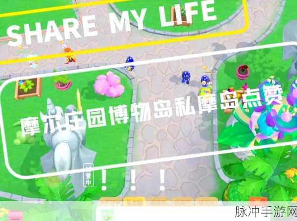 摩尔庄园博物岛图纸解锁全攻略