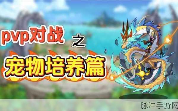洛克王国,宠物攻击力提升全攻略,打造无敌战斗小队