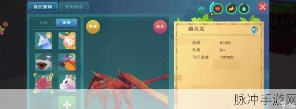 奇幻之旅，揭秘创造与魔法中黑马的捕捉艺术