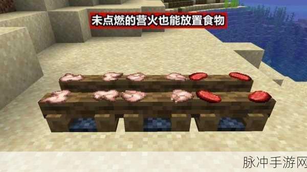 我的世界，揭秘营火的8个鲜为人知秘密，合成方式竟达27000种！