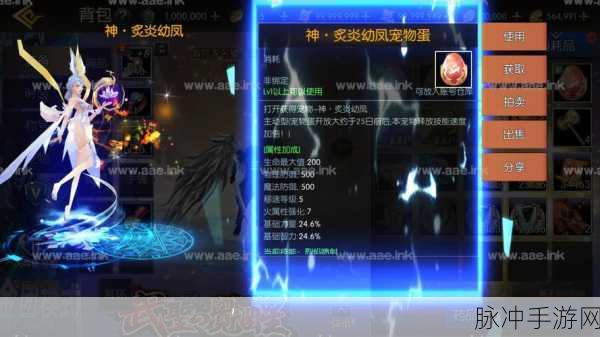 阿拉德之怒，揭秘遗忘者套装的获取之道