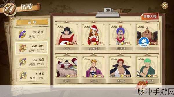 航海王燃魂之旅,SSR角色荣耀征程全揭秘