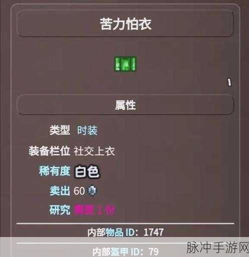 泰拉瑞亚灵魂套深度探索，复仇者与星云套的奥秘