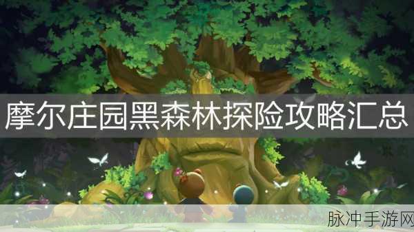 摩尔庄园手游探险秘籍,深入黑森林的奇幻之旅