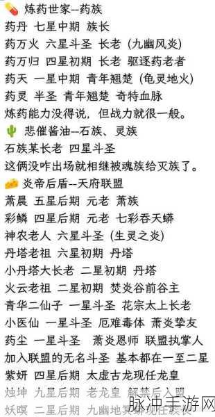 斗破苍穹石族，战斗技巧与玩法深度剖析