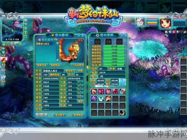 梦幻新诛仙,揭秘小龙人获得途径与玩法