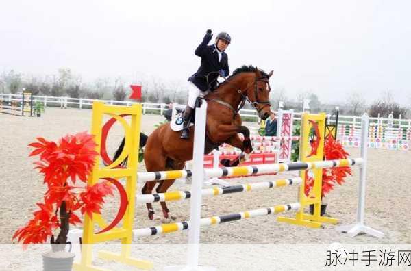 跑马竞速2021震撼登场，体验真实马术竞技的魅力
