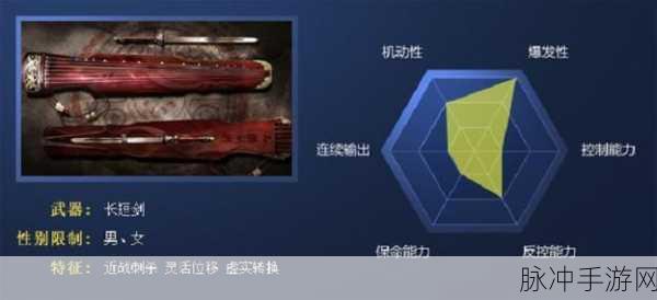 代号江湖衡山支线任务全攻略，高效完成与生肉速取秘籍