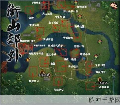 代号江湖衡山支线任务全攻略,高效完成与生肉速取秘籍