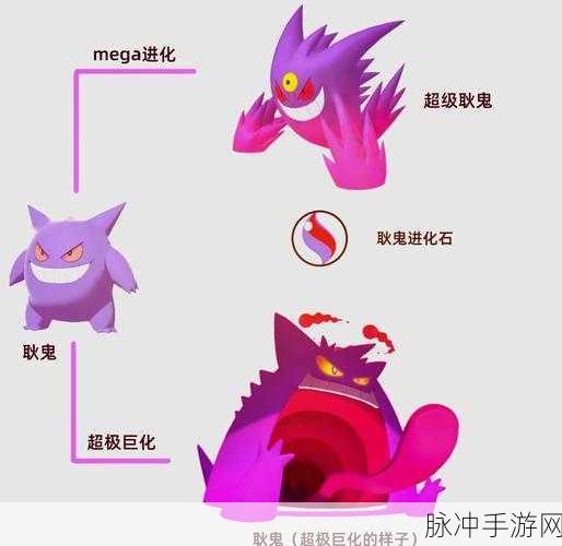 宝可梦探险深度解析,喷火龙技能加点全攻略