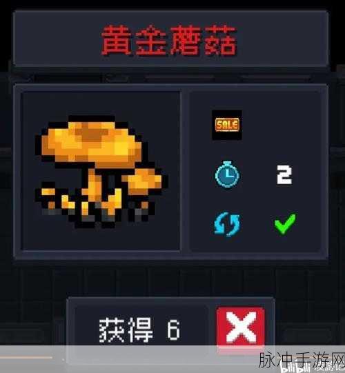 元气骑士，解锁黄金蘑菇的奇妙力量与获取秘籍