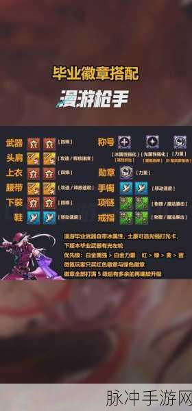 DNF手游深度探索,解锁公会勋章高效获取秘籍,战力飙升不是梦