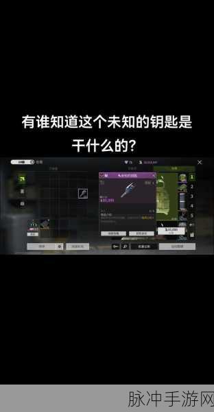 萤火突击，解锁未知钥匙，揭秘神秘区域与赛事精彩瞬间