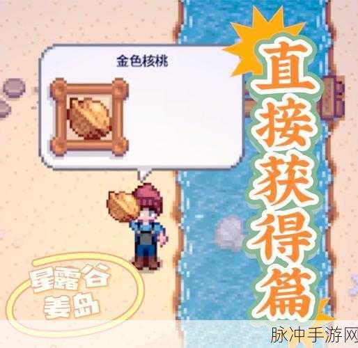 星露谷物语深度探索，解锁100万雕像与黄金招财猫的致富秘籍