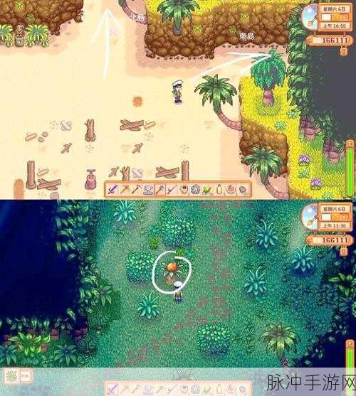 星露谷物语深度探索，齐先生核桃房解锁全揭秘