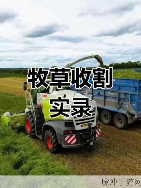 模拟农场19牧草收割全攻略，打造高效牧场秘籍