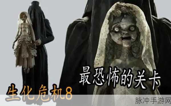 生化危机8,揭秘人偶解谜,详尽拆卸步骤大公开